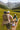 Camp & Hike