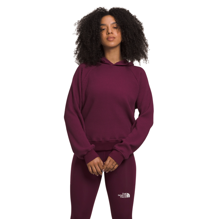 ザ・ノースフェイス The North Face Chabot Hoodie レディース シャツ トップス TNF Black Women's The North Face Chabot Hoodie | Zappos.com