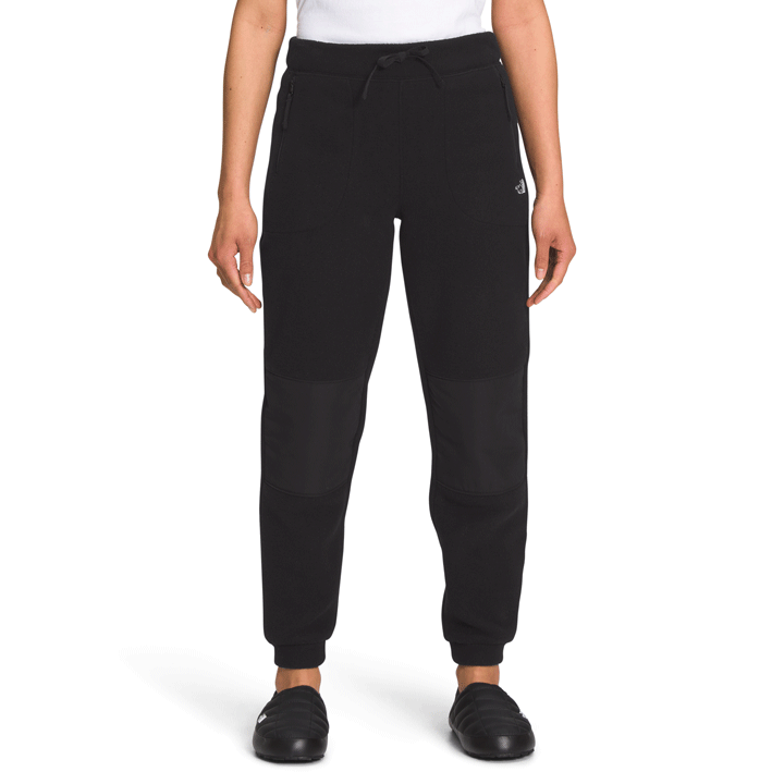 The North Face Alpine Polartec 200 Pant Womens