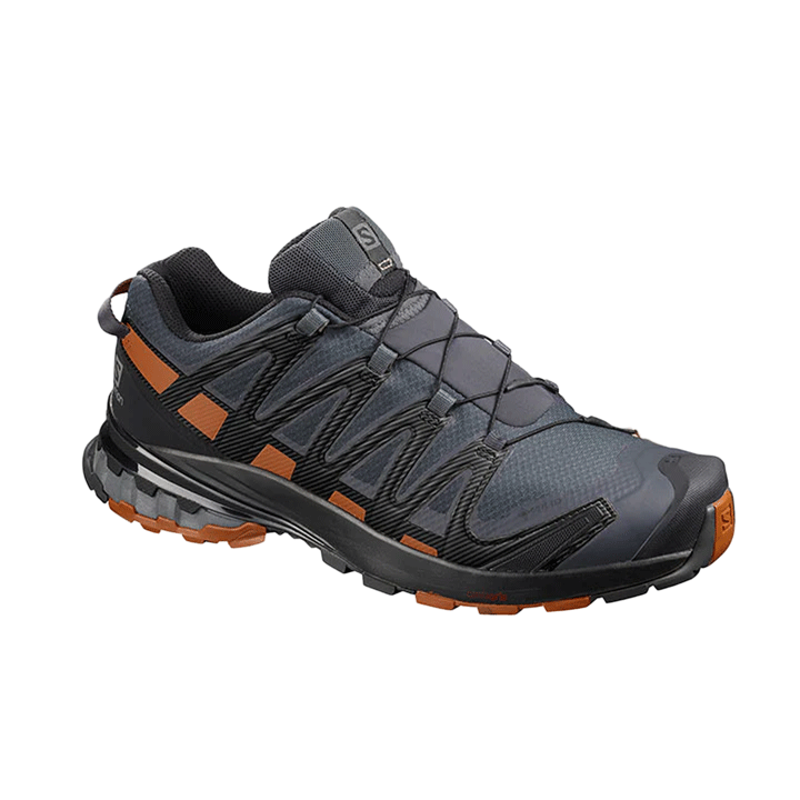 Salomon XA Pro 3D v8 GTX Mens