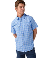 Chicory Flower Plaid