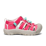 Raspberry/Pink-A-Boo