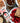 Caramel Pecan & Cranberries Snack Bar