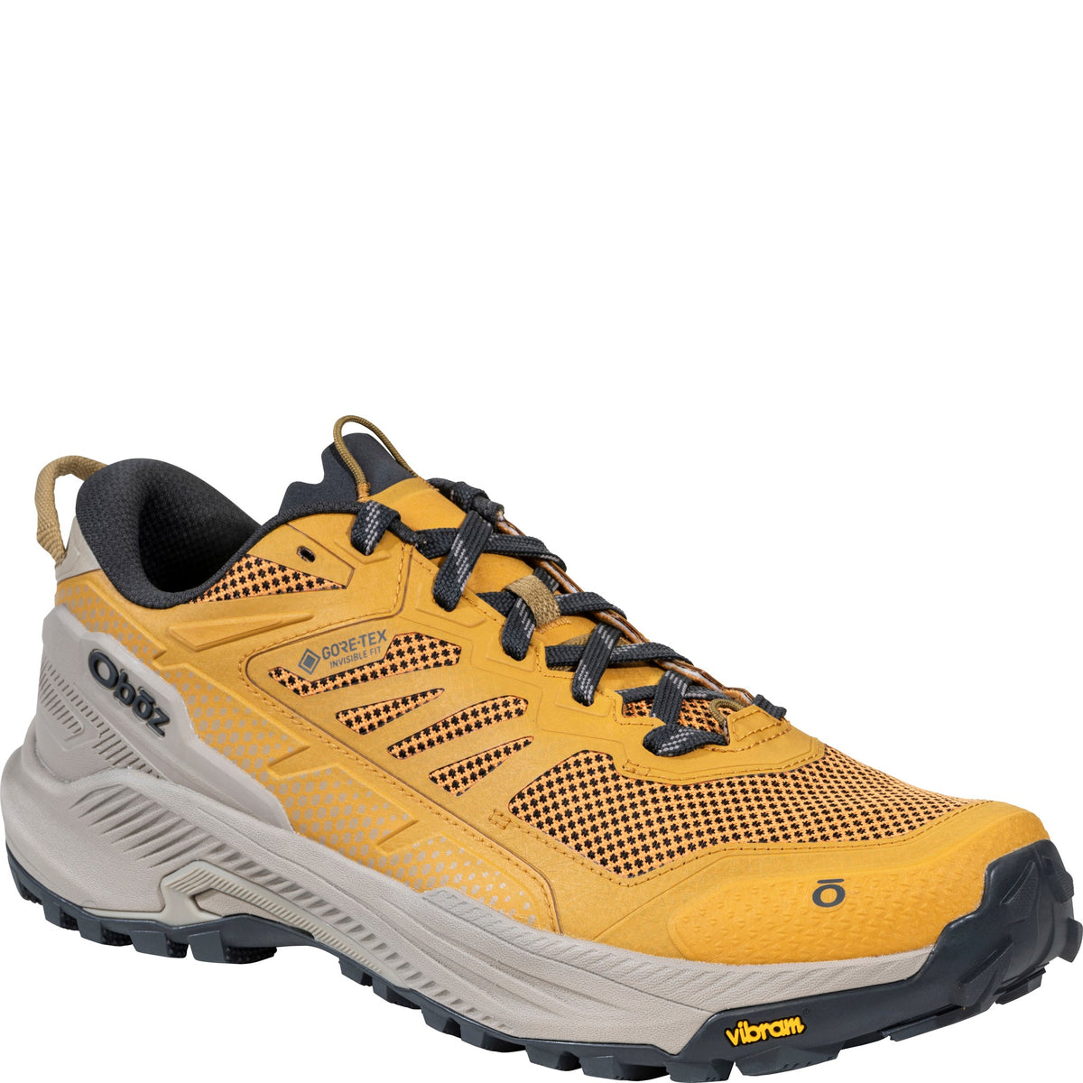 Mens Katabatic RT Low GTX-Shoes-Oboz-Blaze-Mountain Sports