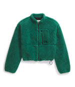 Evergreen/TNF Black