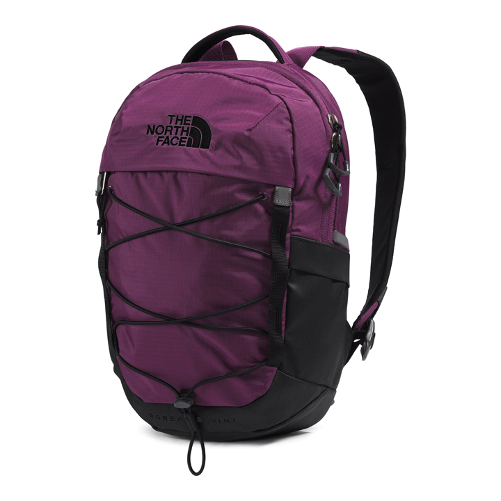 dark eggplant purple borealis backpack north face Borealis Mini Backpack