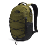 Forest Olive/TNF Black