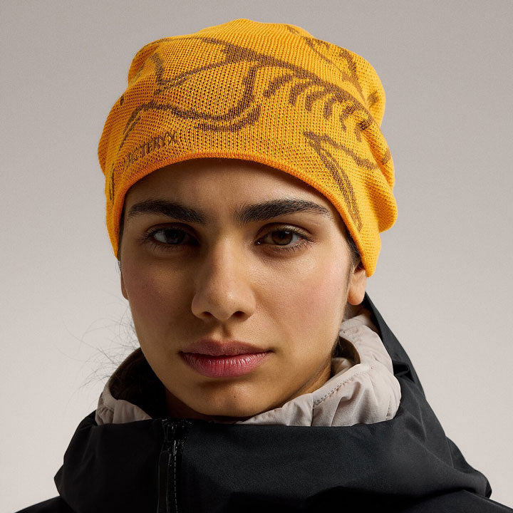 Arc'teryx Bird Head Toque