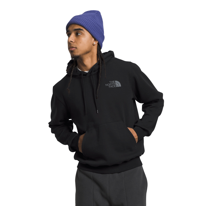 The north face men's pullover big bear hoodie online