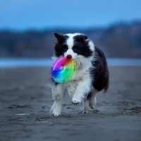 Flashflight® Dog Discuit™ LED Flying Disc (Disc-O), image 3