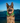 Nite Ize NiteHowl® Rechargeable LED Safety Necklace