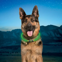 Rechargeable LED Safety Necklace, image 1