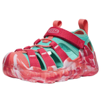 Raspberry/Pool Blue