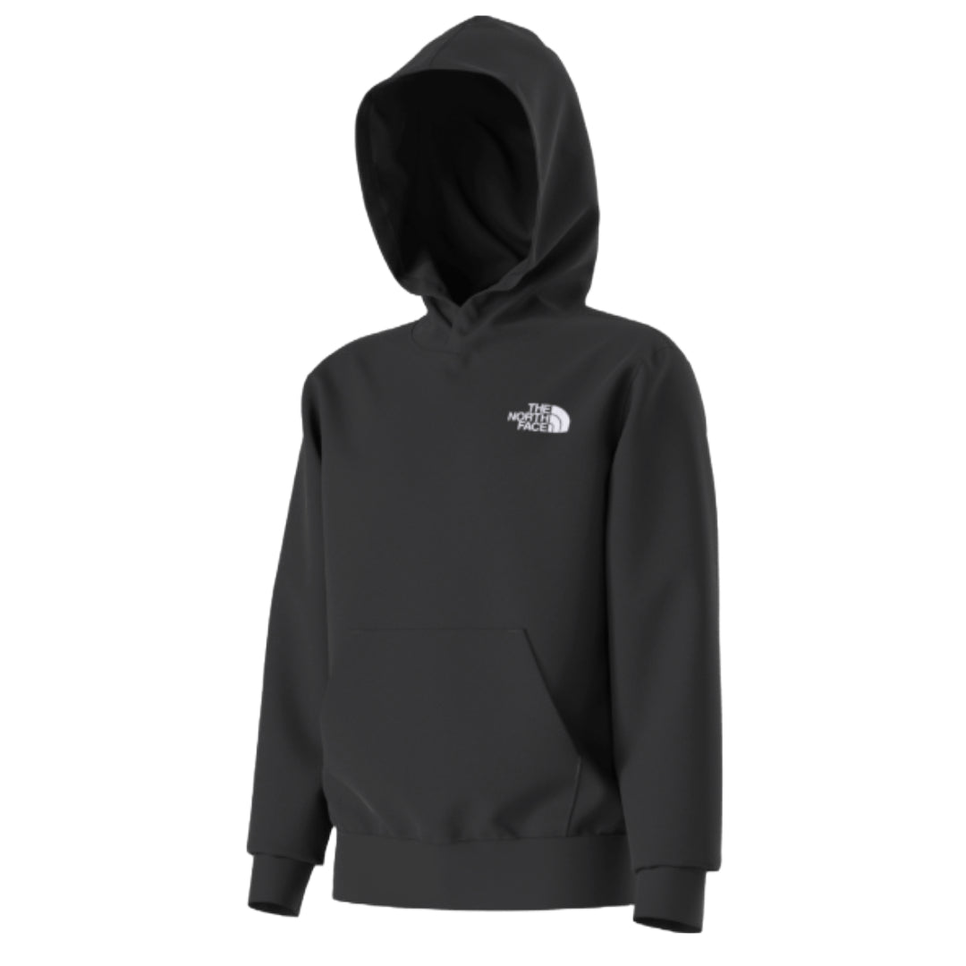 Teen Evolution Box NSE Pullover Hoodie-Sweatshirts & Hoodies-The North Face-TNF Black-Mountain Sports