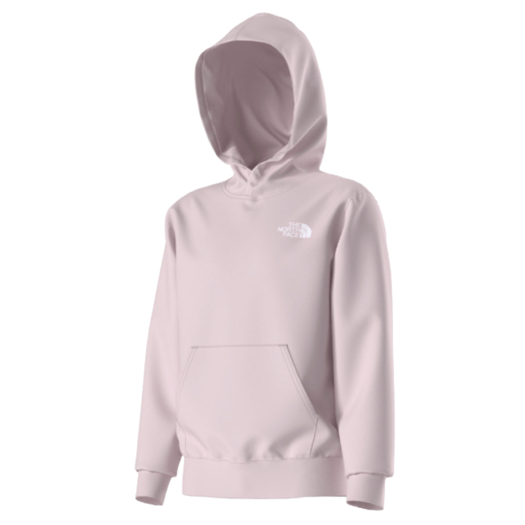 Teen Evolution Box NSE Pullover Graphic Hoodie-Sweatshirts & Hoodies-The North Face-Pale Blossom/Lali Guran Regenerative Ink Print-Mountain Sports