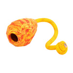 Salamander Orange