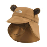 Teddy Brown