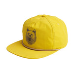 Honey Bear
