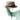 Organic Strap Bucket Hat-Hats-Kavu-Ranchland-Mountain Sports