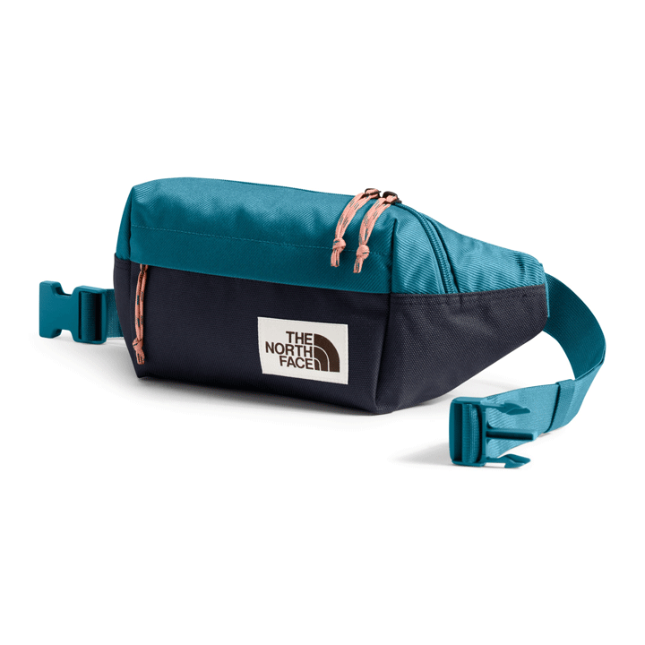 The north face sport hiker 9l lumbar pack hot sale