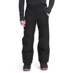 The North Face Seymore Pant Men s TNF Black