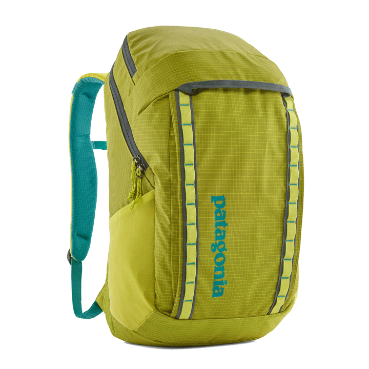 Patagonia Black Hole Pack 32L Backpack | Mountain Sports