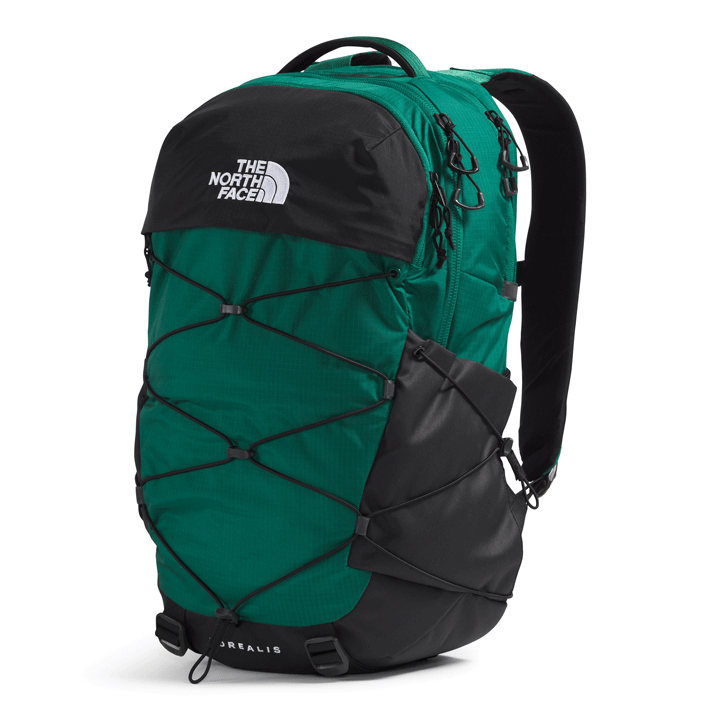 Borealis Backpack-Backpacks-The North Face-Evergreen/TNF Black-Mountain Sports