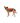 Ruffwear Web Master Dog Harness with Handle