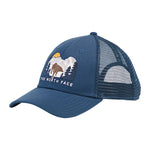 Shady Blue/Bear Graphic