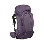 Enchantment Purple