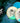 MVP Space Race Discs 2023