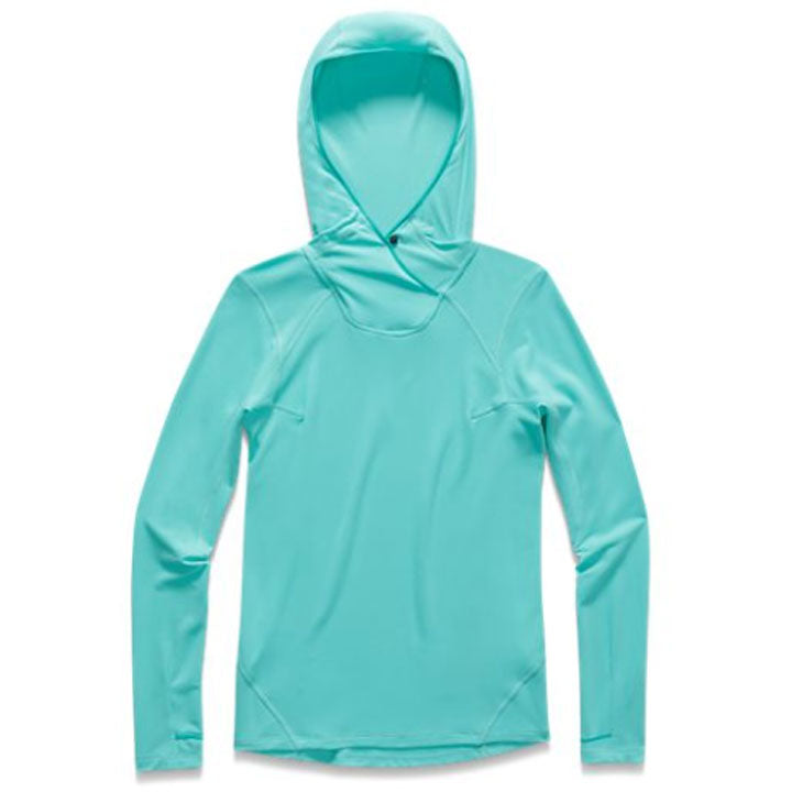 The North Face North Dome Pullover Hoodie
