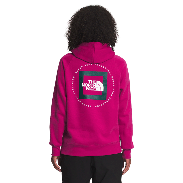 The North Face Geo NSE Hoodie Womens