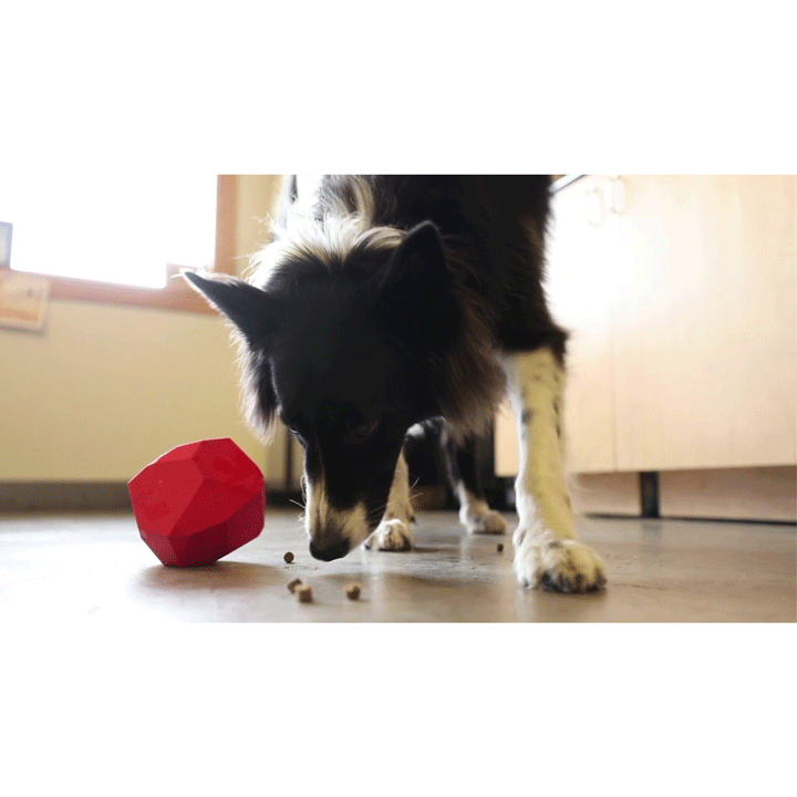 Ruffwear Gnawt-a-Rock Dog Toy