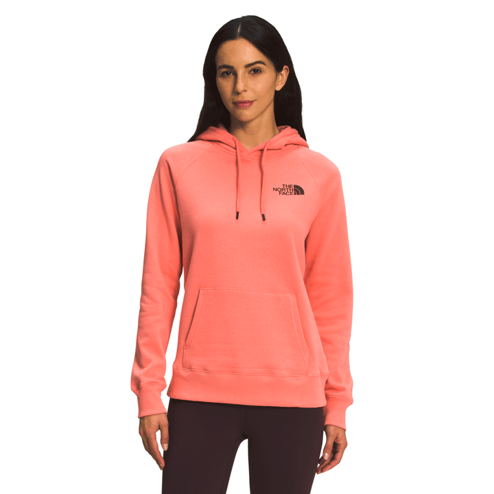 The North Face Graphic Injection Hoodie Womens
