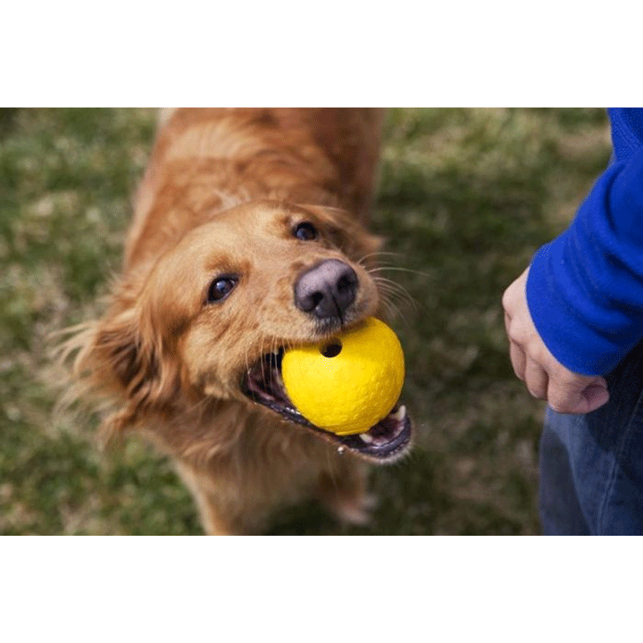 Ruffwear Huckama Rubber Throw Toy