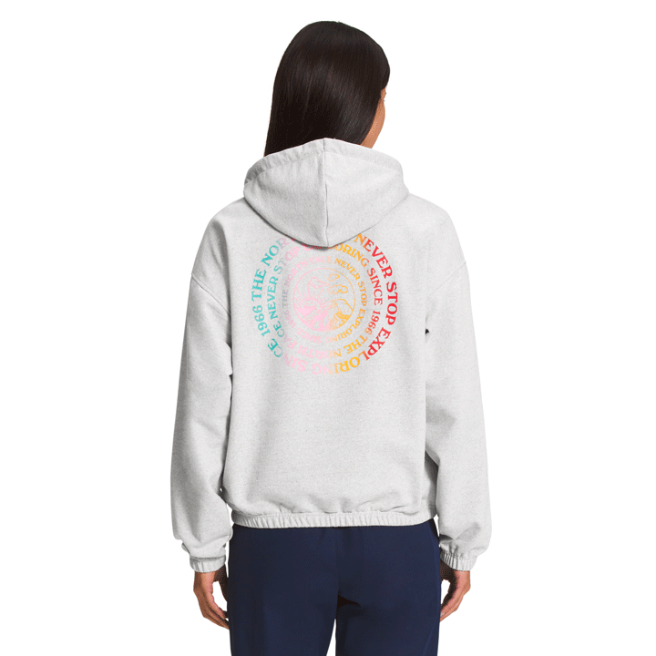 The North Face Re-grind Hoodie Womens