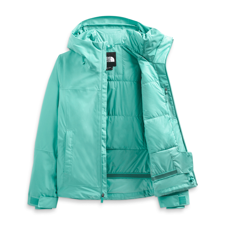North face sales descendit jacket womens