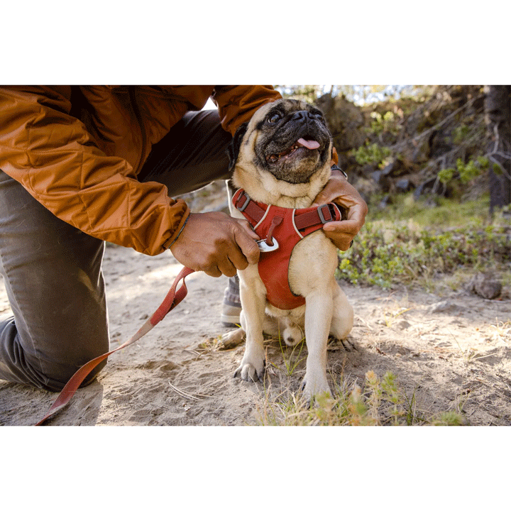 Ruffwear Front Range Dog Harness