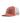 Patagonia P-6 Logo LoPro Trucker Hat