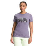 Lunar Slate Heather