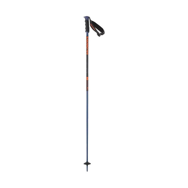 Salomon Arctic S3 Ski Poles