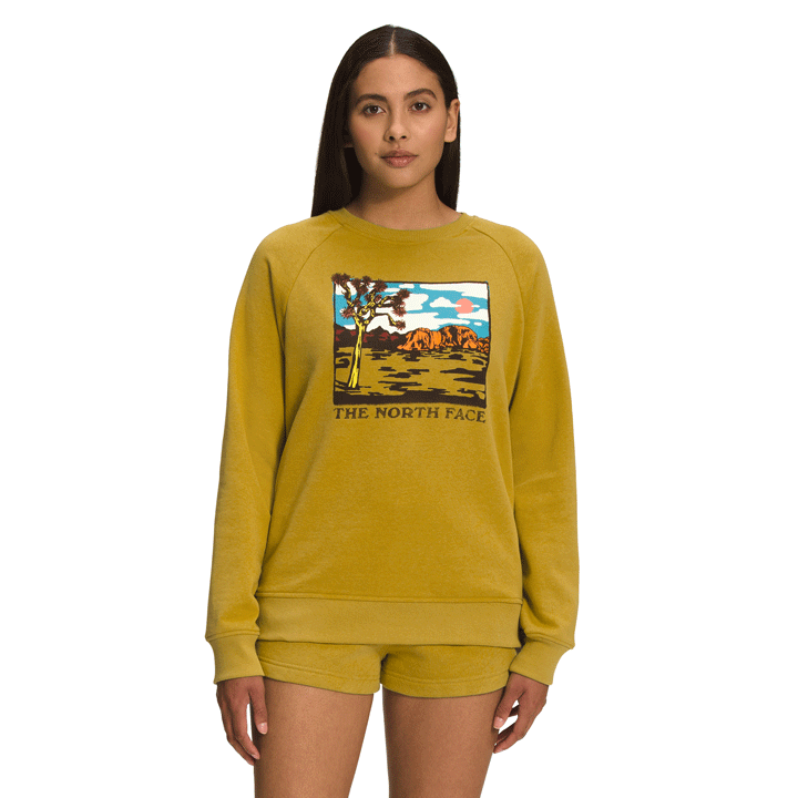 The North Face Graphic Injection Crew Womens