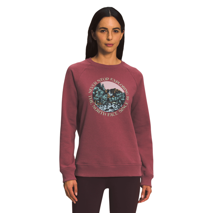 The North Face Graphic Injection Crew Womens