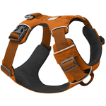 Campfire Orange