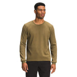 Military Olive